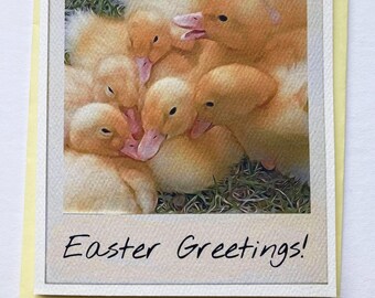 EASTER GREETINGS set of 10 note cards, greeting card, stationary, Spring, paper goods, ducks, yellow, party supplies