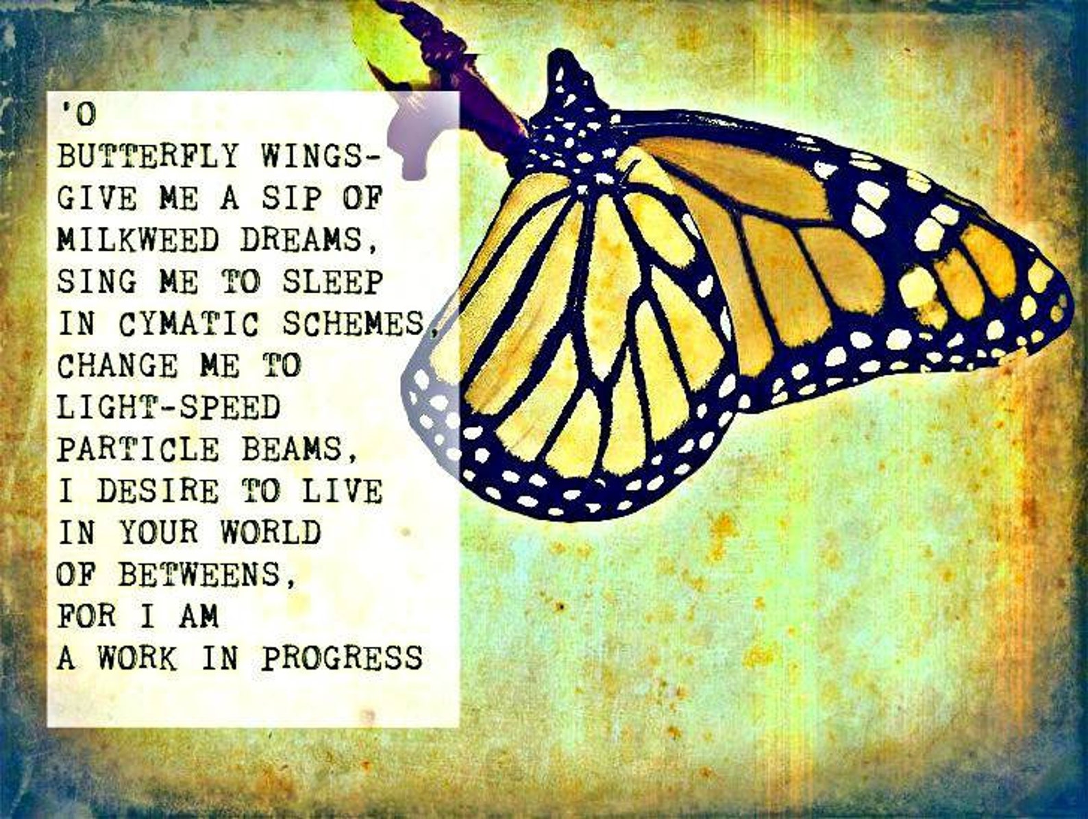 what is the butterfly effect meaning