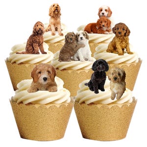 30 Stand Up Cavapoo Cockapoo Hund Welpen Essbare Oblate Papier Karte Kuchen Cupcake Toppers Dekorationen. Voll essbare Oblaten Karte / Druckfarben