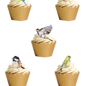 30 oiseaux de jardin debout, décorations comestibles pour décorations de cupcakes et de gâteaux, gaufrettes en papier. Plaquette de papier entièrement comestible et encres comestibles