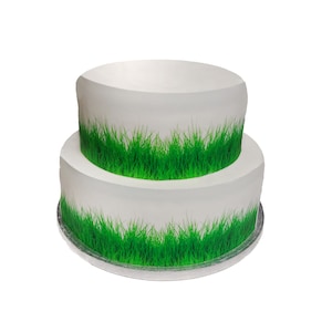 Pode incluir: Um bolo branco de dois andares decorado com uma borda de grama verde ao redor da parte inferior de cada andar.