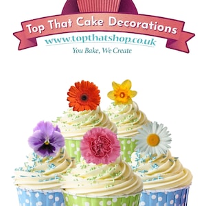 May include: An image of cupcakes decorated with colorful flowers. The cupcakes have white frosting and are in blue and green polka dot liners. The image includes the text "Top That Cake Decorations" and a website address.