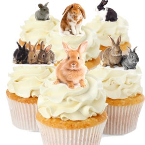 30 adorables conejitos de pie, tarjetas de oblea comestibles para decorar pasteles y cupcakes. Obleas totalmente comestibles y tintas comestibles.
