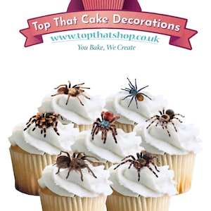 May include: Cupcakes with white frosting, each topped with a realistic spider decoration. The cupcakes are vanilla-colored, and the spiders vary in color and size. The image includes the text "Top That Cake Decorations" and a website address.