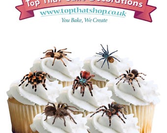 CollectA- Mexican Redknee Tarantula Animali Giocattolo Per - Foto 8