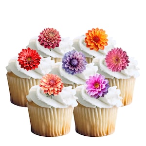 May include: Seven cupcakes with white icing, each decorated with a colourful dahlia flower. The flowers are in shades of red, orange, purple, and pink. The cupcakes have a light brown paper case.
