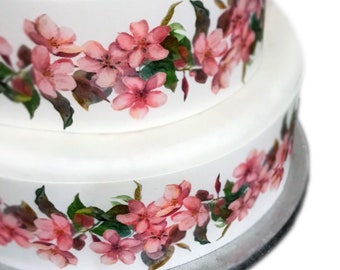 Branche de fleurs de cerisier avec fleur de sakura rose et fleur de Branche de fleurs de cerisier avec fleur de sakura rose et fleur de