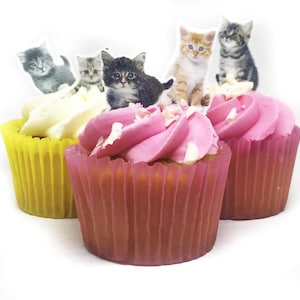 May include: Three cupcakes with yellow and pink liners, topped with white and pink frosting. Each cupcake is decorated with a kitten-shaped cutout. The cupcakes are on a white background.