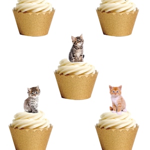 36 Stand Up süße Kätzchen Katze Tier Haustier Essbare Oblate Papier Karte Kuchen Cupcake Toppers Dekorationen. Voll essbare Oblaten und Druckfarben