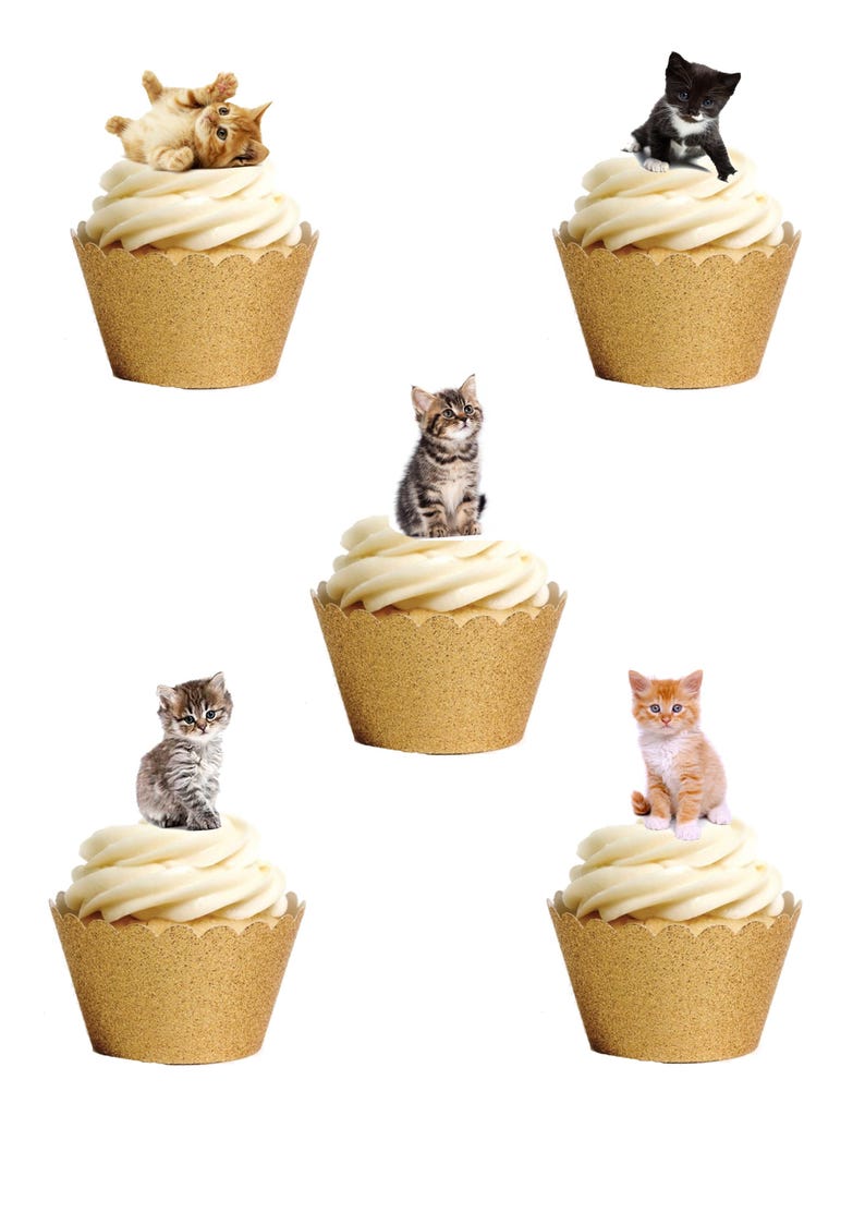 May include: Five cupcakes with golden wrappers and white frosting, each topped with a kitten. The kittens vary in color, including orange, black and white, and tabby patterns. A whimsical and cute theme.
