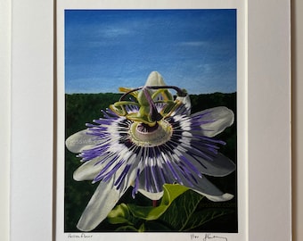 Passionflower - Fine art print - Limited Edition of 100 signed prints on heavy weight paper, giclee printed with mat and backing