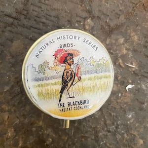 Southern Memorabilia The Blackbird, Trixy Molasses or Northrup Seeds 3-compartment Trinket Box Pill box