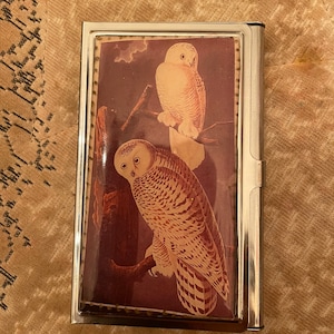 Retro Owl Duo Silver Porta-cartões de visita ID Capa para cartão de crédito