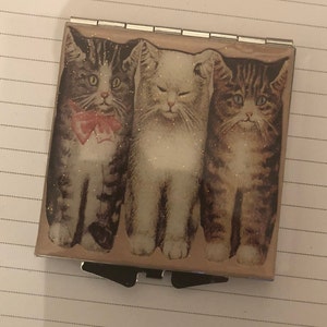 Retro Feline Tabby Calico Persian CAT KITTENS Square Silver Mirror Compact