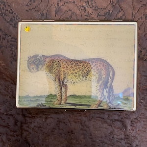 Carteira Retro Leopard com 1 Clipe para Identificação, Cigarro e Porta-Cartões de Crédito Empresarial