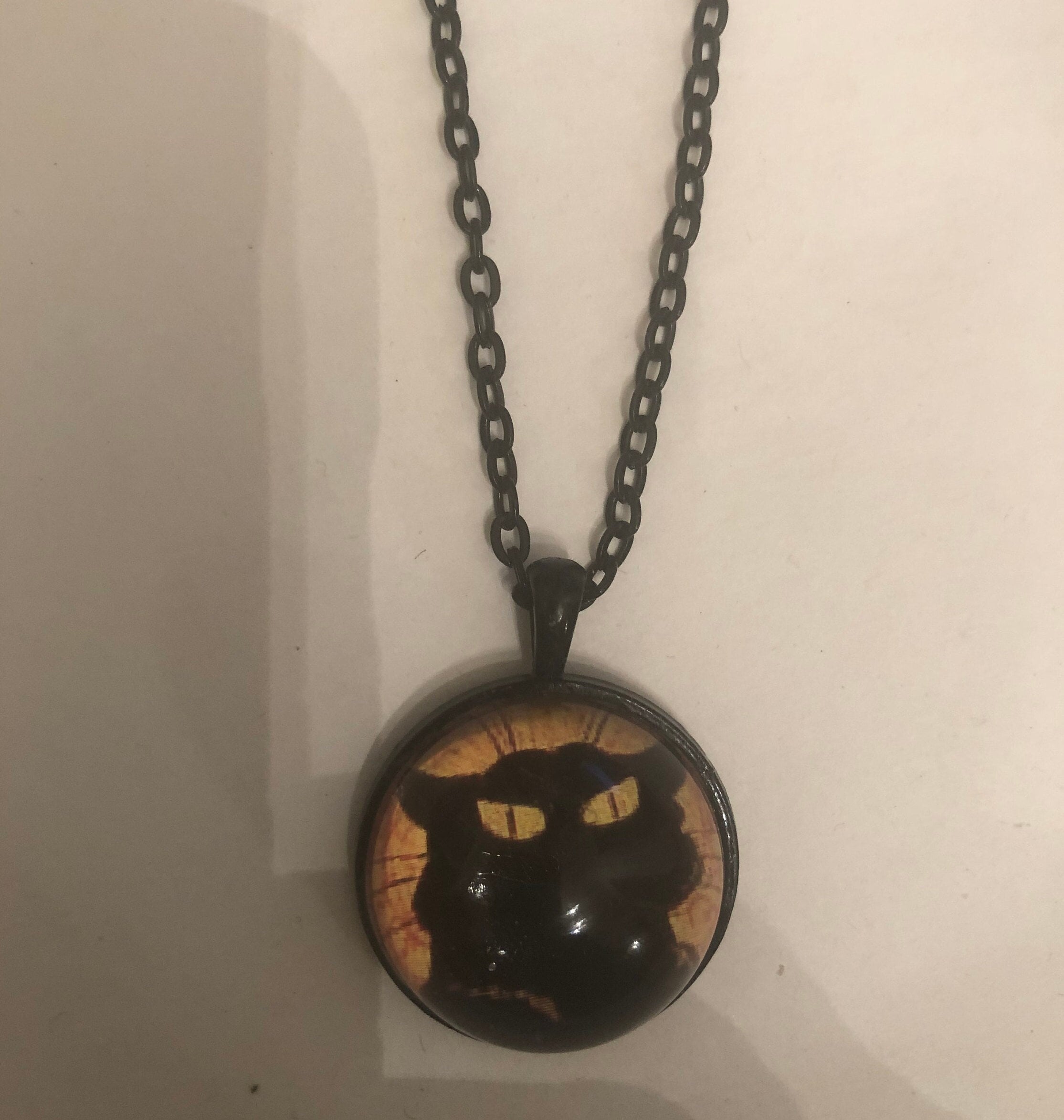 Chat noir in chains
