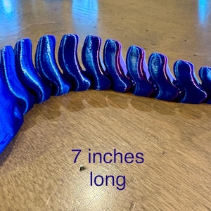 Op de afbeelding: Een 17,8 cm lang, blauw en paars, gesegmenteerd, flexibel, plastic speelgoed. Het speelgoed is gevormd als een slang.