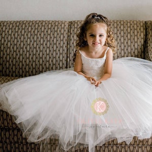 French Lace Flower Girl Dress, Tulle Tutu Flower Girl Dresses, Toddler Dress, Weddings image 4