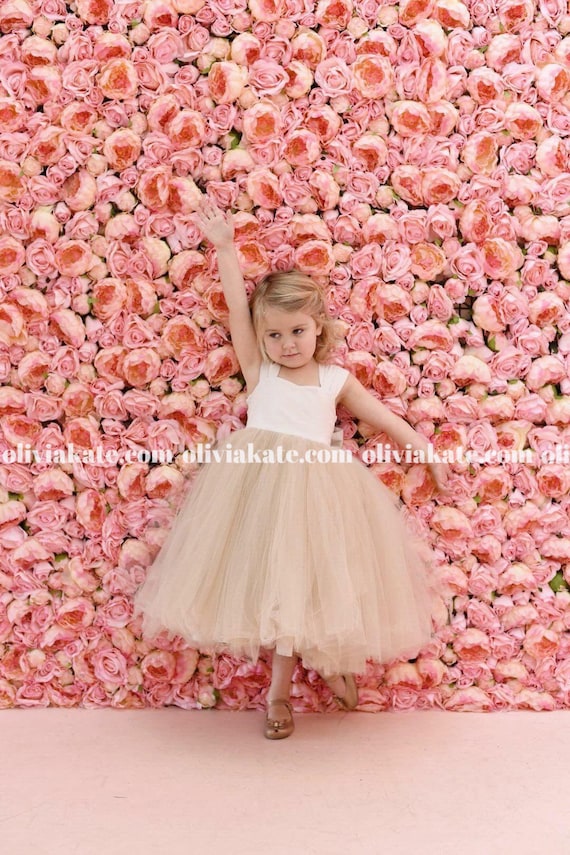 Champagne tutu flower girl dresses hotsell