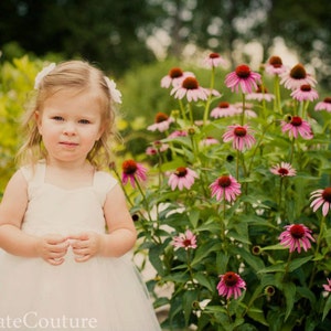 Flower girl dress, ivory flower girl dress, tulle flower girl dress, baby girl dress, adjustable flower girl dress, girls party dress image 3