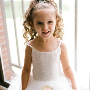 French Lace Flower Girl Dress, Tulle Tutu Flower Girl Dresses, Toddler Dress, Weddings image 3