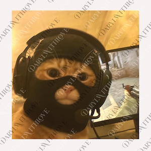 Funny Thief Cat Meme png, Cat Wearing Mask Digital, Gen Z Joke png, Stupid Brainrot Gift, Cat Lover Gift, Funny Kitty png, Cool Cat png