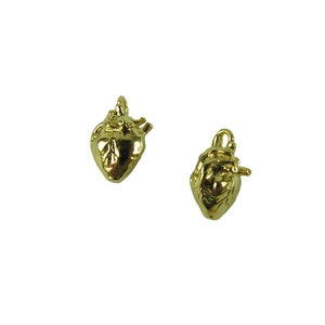 Tiny 3D Anatomical Human Heart Charms - Gold Plated - (4X) (K655-C) - Etsy