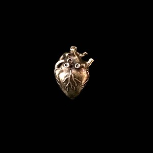 May include: A silver anatomical heart charm with detailed veins and chambers.