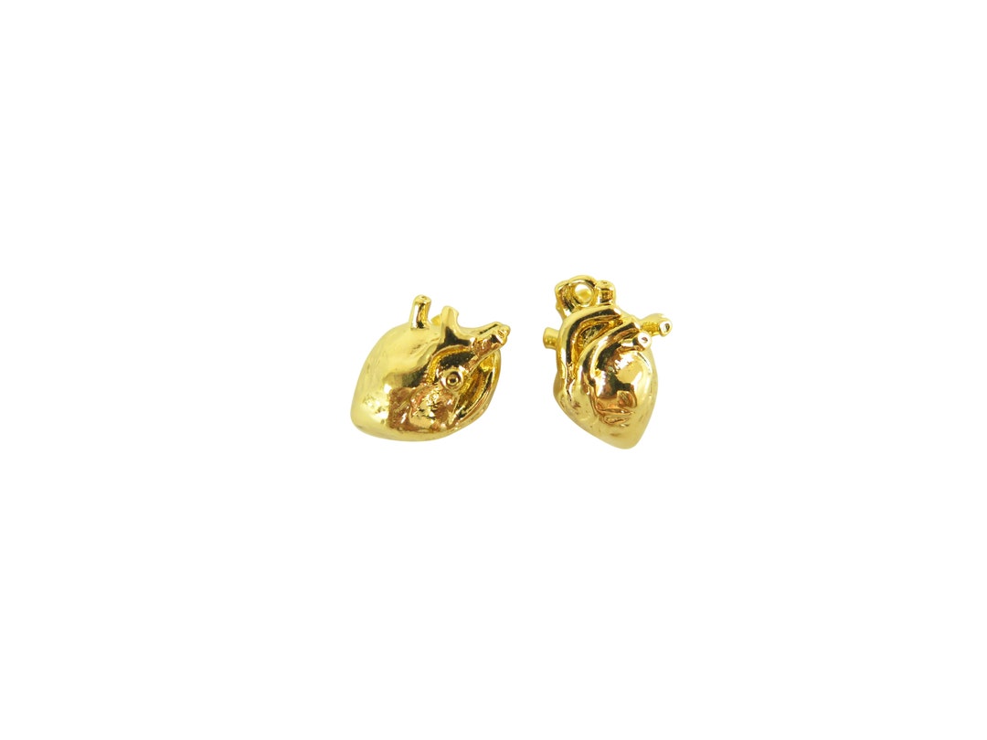 Small 3D Anatomical Human Heart Pendant - Gold Plated (2x) (K638-C) - Etsy