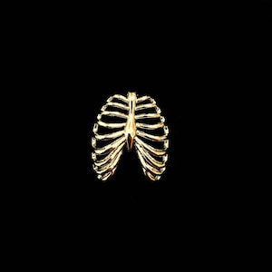 May include: A gold-colored ribcage pendant, a popular jewelry piece for those interested in anatomy and medical themes.