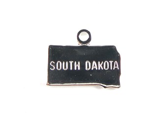 Engraved Tiny SILVER Plated on Raw Brass South Dakota State Charms (2X) (A440-B)
