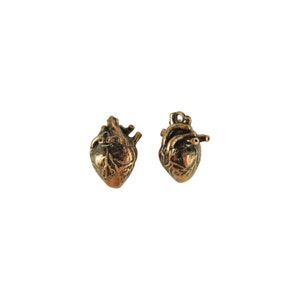 May include: Two antique gold-toned heart charms with detailed anatomical features.