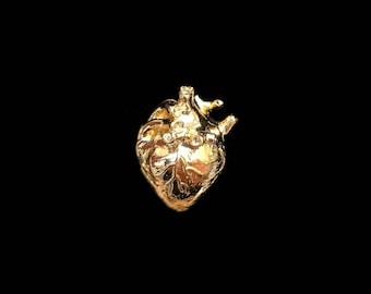 Large 3D Anatomical Human Heart Pendant - Gold Plated (2x) (K626-C