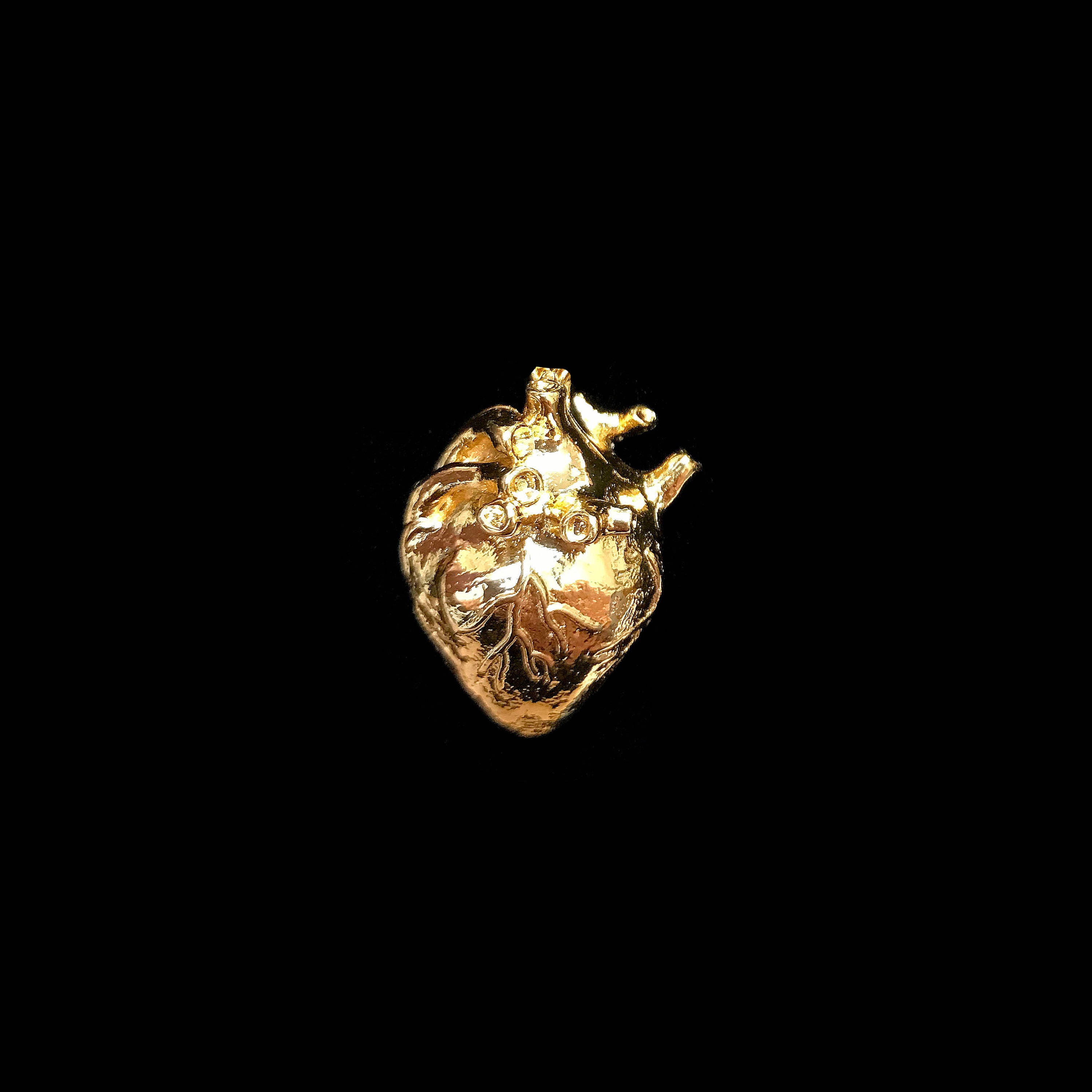 Large 3D Anatomical Human Heart Pendant - Gold Plated (2x) (K626-C