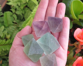 Natural Fluorite Rocks ~ Large (2X) (NS571)