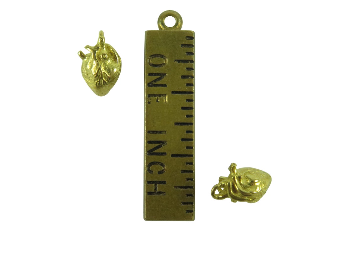 Tiny 3D Anatomical Human Heart Charms - Brass - (4X) (K655-A) - Etsy
