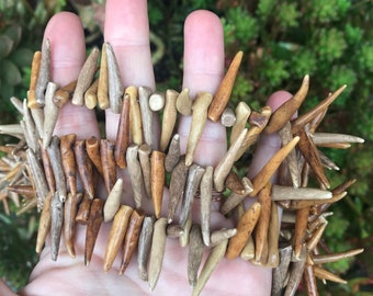 Dyed Beige Coral Howlite Spike Beads (12X) (NS578)