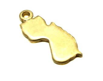 Blank - Tiny Raw Brass New Jersey State Charms (6X) (A429-1)