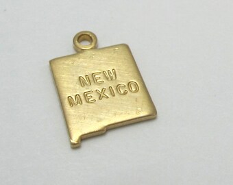 Engraved Tiny Raw Brass New Mexico State Charms (6X) (A430-A)