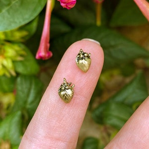 Op de afbeelding: Twee kleine, goudkleurige hartvormige bedels worden op een vingertop getoond. De bedels hebben een gedetailleerd, anatomisch ontwerp. De achtergrond toont groen gebladerte en roze bloemen, wat een natuurlijke setting creëert voor de sieraden.