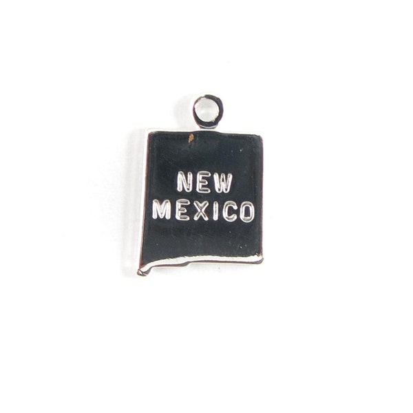 Engraved Tiny SILVER Plated on Raw Brass New Mexico State Charms (2X) (A430-B)