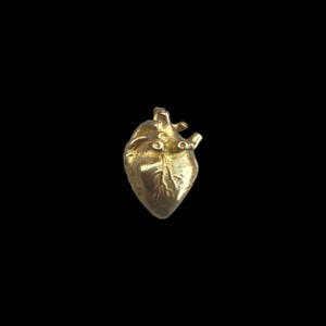 May include: A golden-colored anatomical heart pendant against a black background. The pendant is detailed with veins and arteries, showcasing a realistic design. The heart is a symbol of love and life.