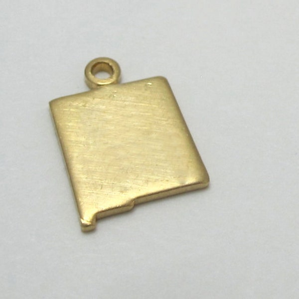 Blank - Tiny Raw Brass New Mexico State Charms (6X) (A430-1)