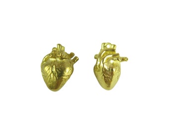 Medium 3D Anatomical Human Heart Pendant - Brass (2x) (K639-A)