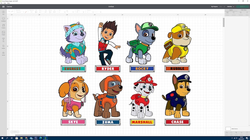 Puede incluir: Un conjunto de ocho personajes de la Patrulla Canina, incluyendo Everest, Ryder, Rocky, Rubble, Skye, Zuma, Marshall y Chase. Cada personaje est&aacute; representado en sus colores y poses caracter&iacute;sticos, con sus nombres impresos debajo.