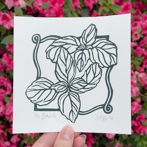 May include: A square white print featuring a dark green linocut illustration of basil leaves enclosed in a decorative border. The text 1/15 Basil is written on the bottom left, and the initials SKB '26 are written on the bottom right.