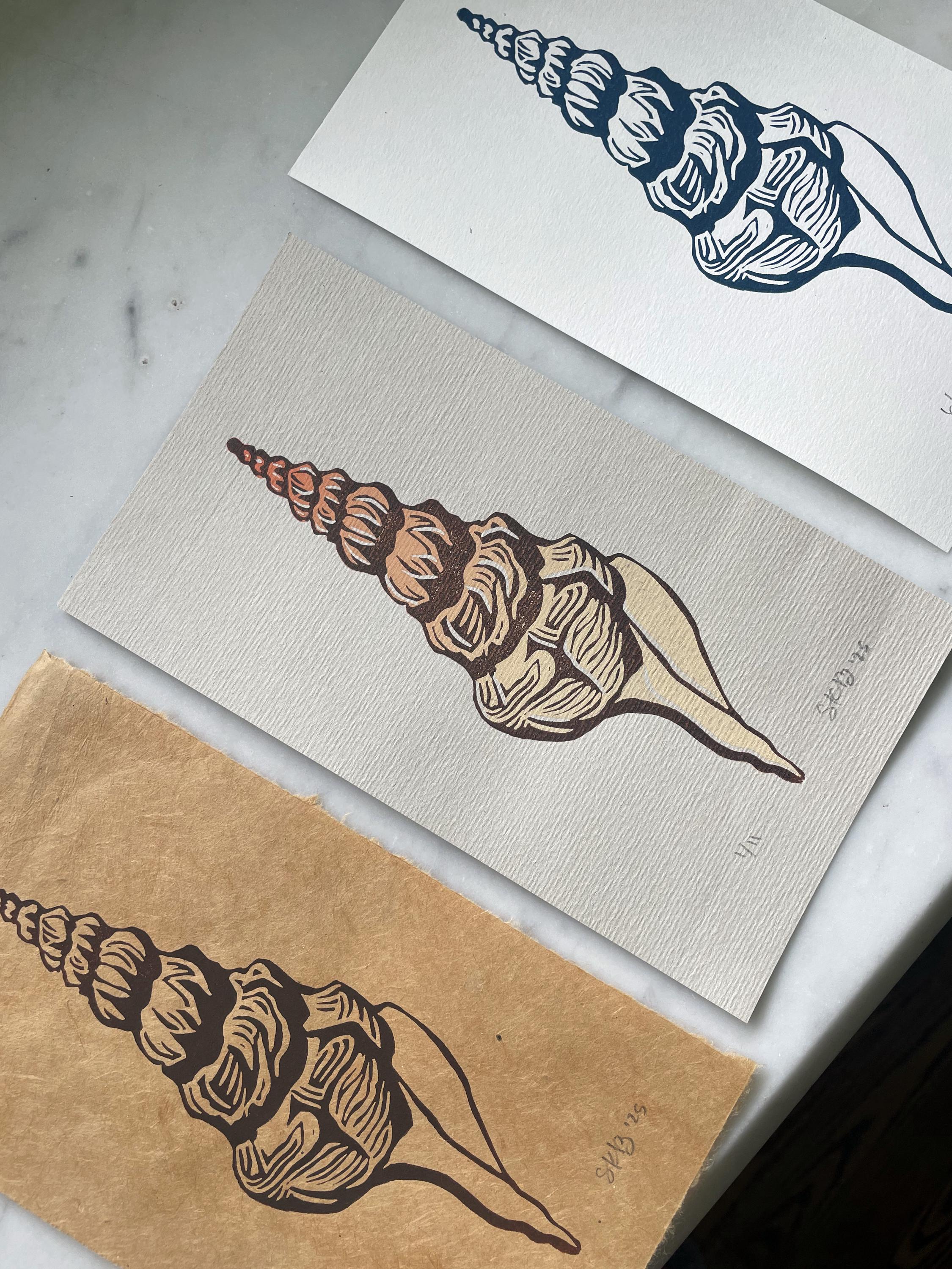Linocut Shell Fruit Conch Shell Linocut Print | Handmade Limited Edition Art - Etsy