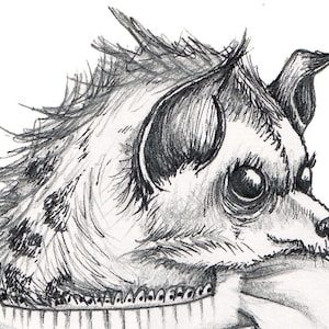 HYENA Art - Hyena Illustration - Hyena Print - Anthropomorphic Hyena