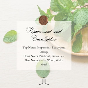 Peut inclure: Une étiquette blanche avec le texte "Peppermint and Eucalyptus" et une liste de notes de parfum : Notes de tête : Menthe poivrée, Eucalyptus, Orange. Notes de cœur : Patchouli, Feuille verte. Notes de fond : Bois de cèdre, Musc blanc.