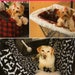 Uncut DOG TRAVEL ACCESSORIES Pattern Simplicity #2984 Car Seat Shopping Cart Cover Car Back Seat Cover Canine Sewing Robin Greenwood